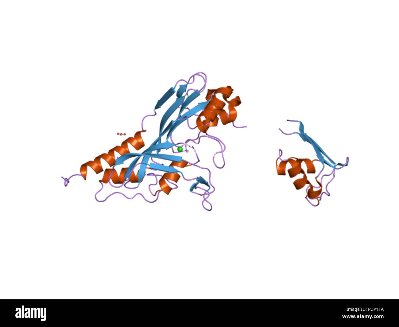 206 HVE 2 ist-EBI Stockfoto