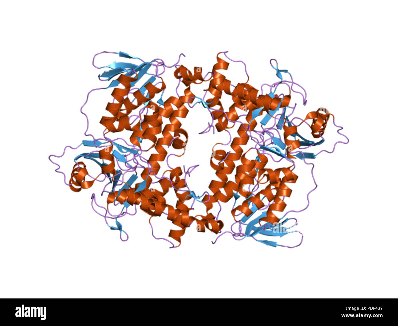220 HVE 2 OAM-EBI Stockfoto