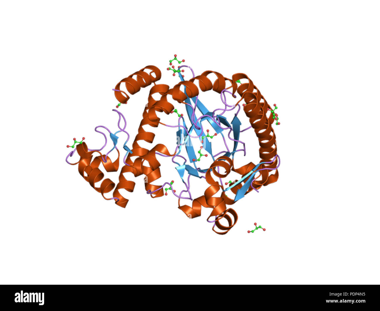 221 HVE 2 oko EBI Stockfoto