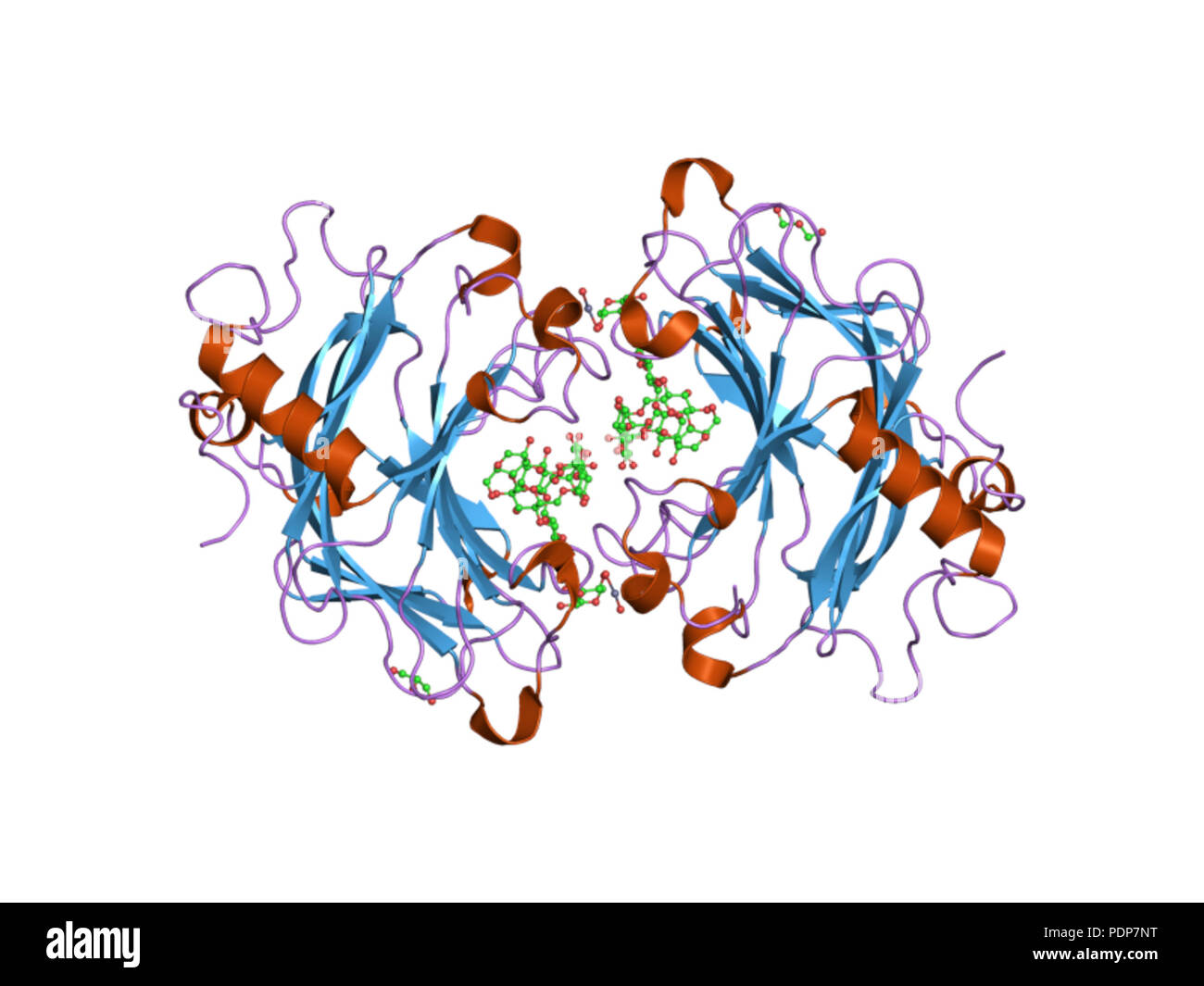 245 HVE 2 vh 9 EBI Stockfoto