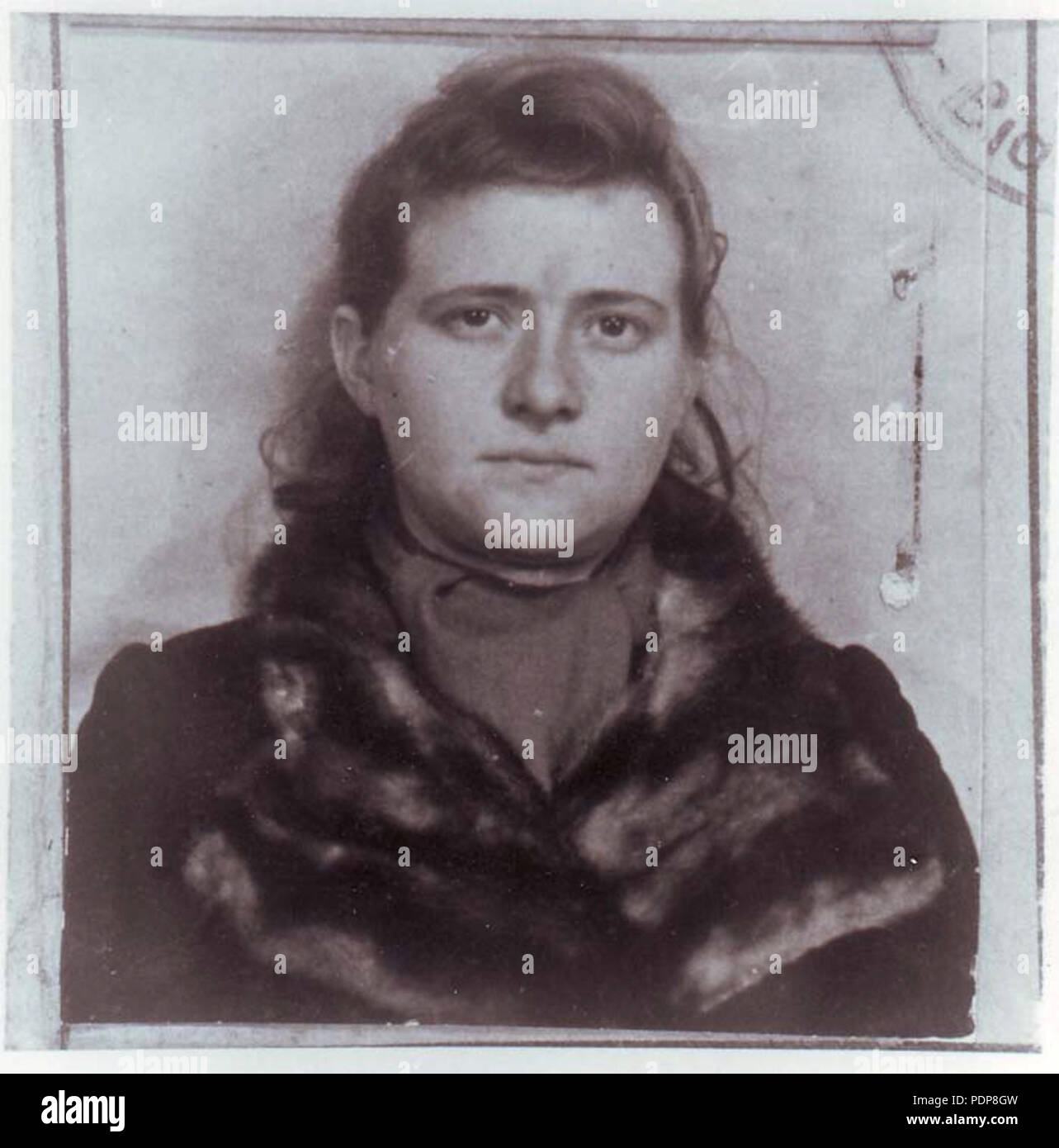 148 Haika Grossman fake-ID Stockfoto