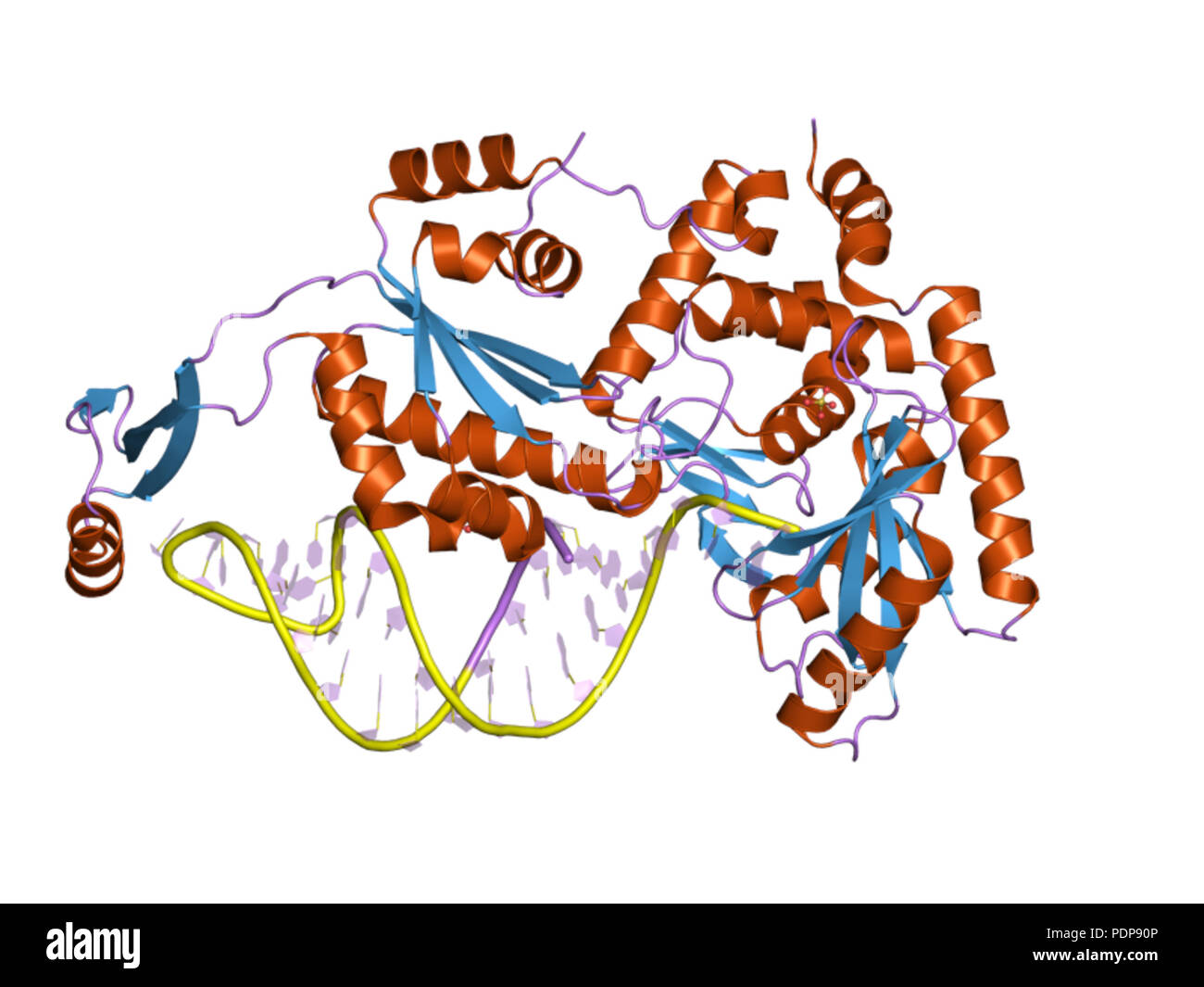 254 HVE 2 zh 3 EBI Stockfoto