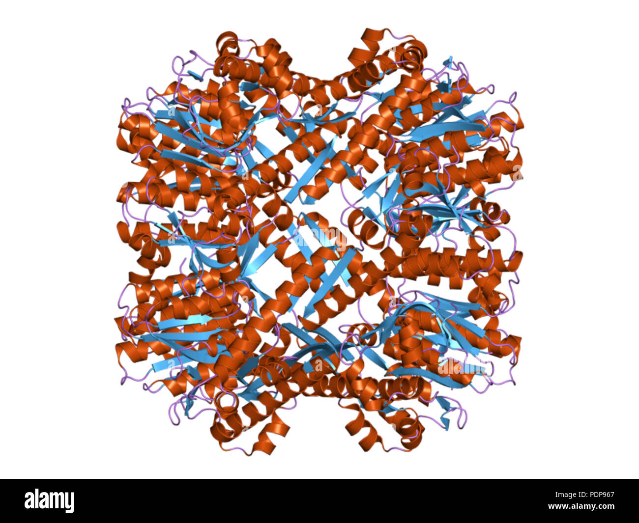 255 HVE 2 Zl0 EBI Stockfoto