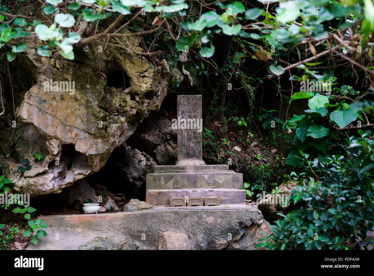 Shio River (salzig), der Präfektur Okinawa, Japan Stockfoto