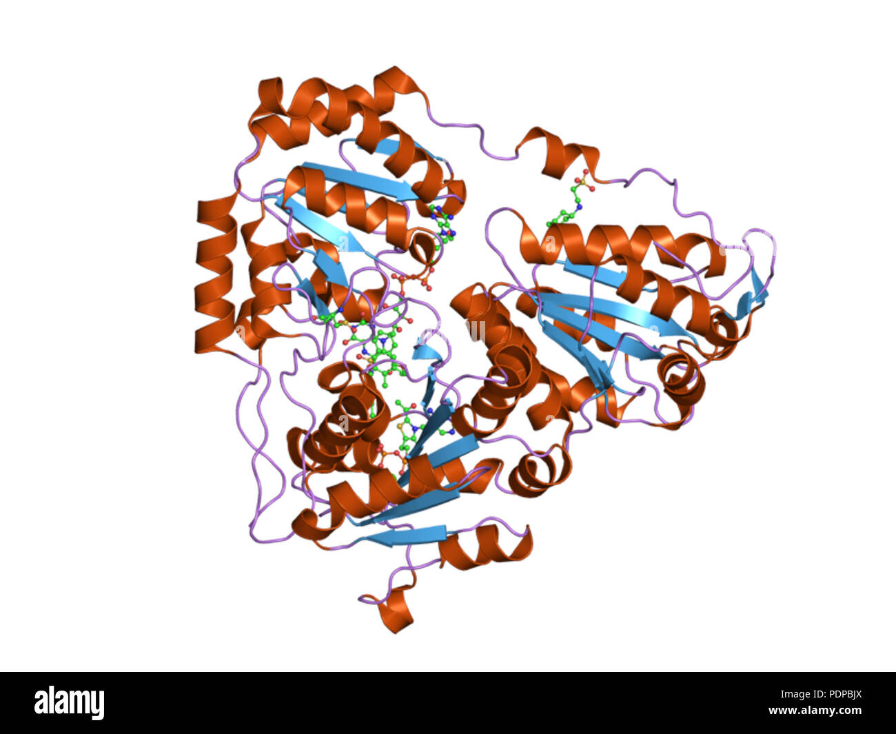 275 HVE 3 ea 4 EBI Stockfoto