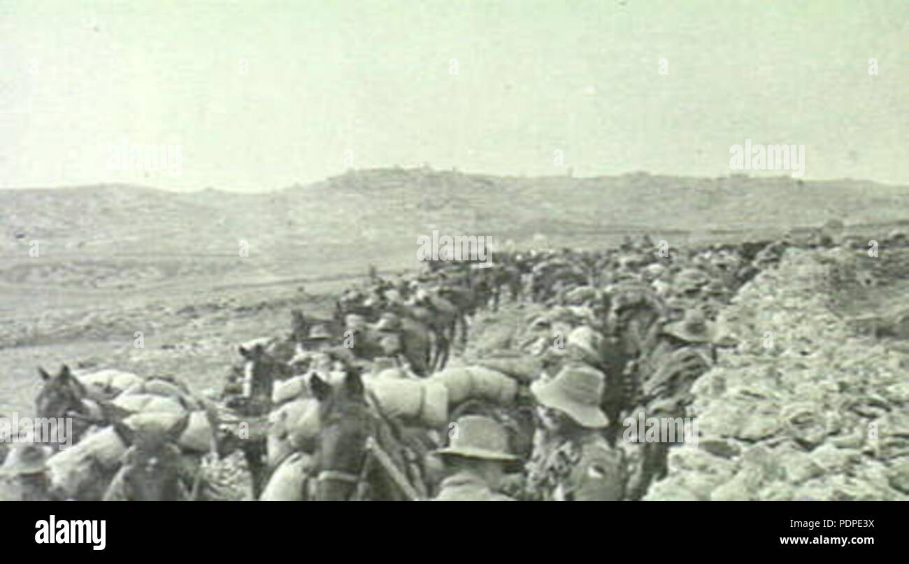 6 3 Light Horse Palästina Stockfoto