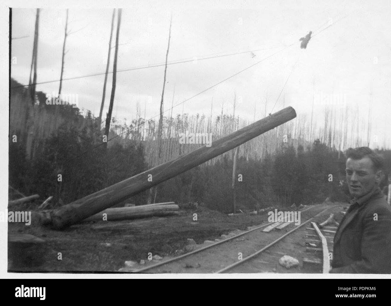 56 führen. Stockfoto
