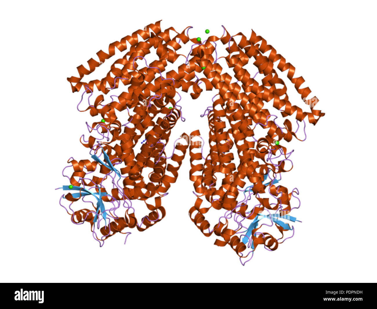 271 HVE 3 dhg EBI Stockfoto