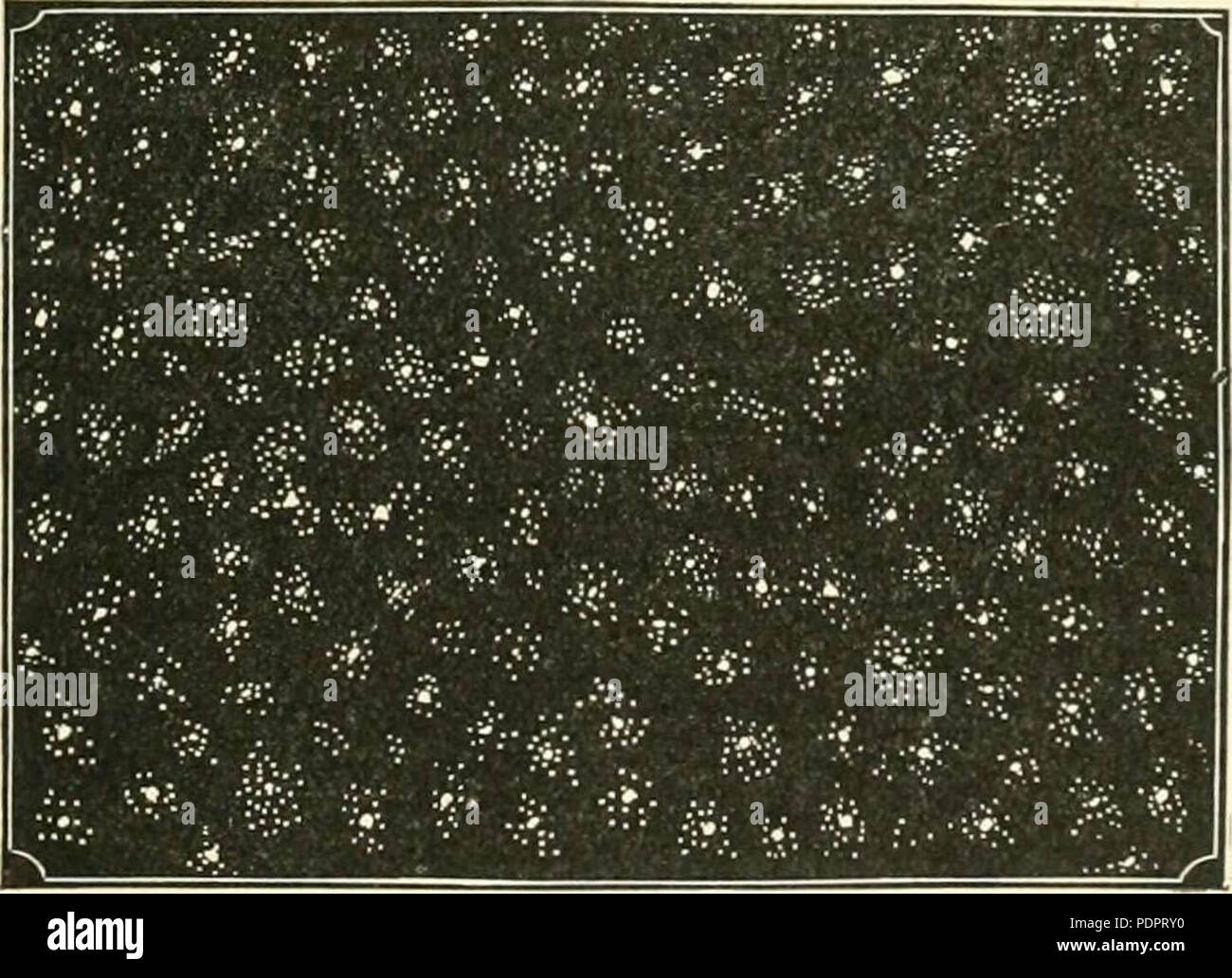 Hill's Album von Biographie und Kunst: mit Porträts und Pen - Skizzen von vielen Personen, und sind Prominente wie religiösen, militärischen Helden, Erfinder, Finanziers, Wissenschaftler, Forscher, Schriftsteller, Ärzte, Schauspieler, Juristen, Musiker, Künstler, Dichter, Sovereigns, Humoristen, Redner und Staatsmänner, zusammen mit Kapiteln über Geschichte, Wissenschaft, und wichtige Arbeit, in denen prominente Menschen in verschiedenen Perioden der Zeit beteiligt gewesen sind, Stockfoto