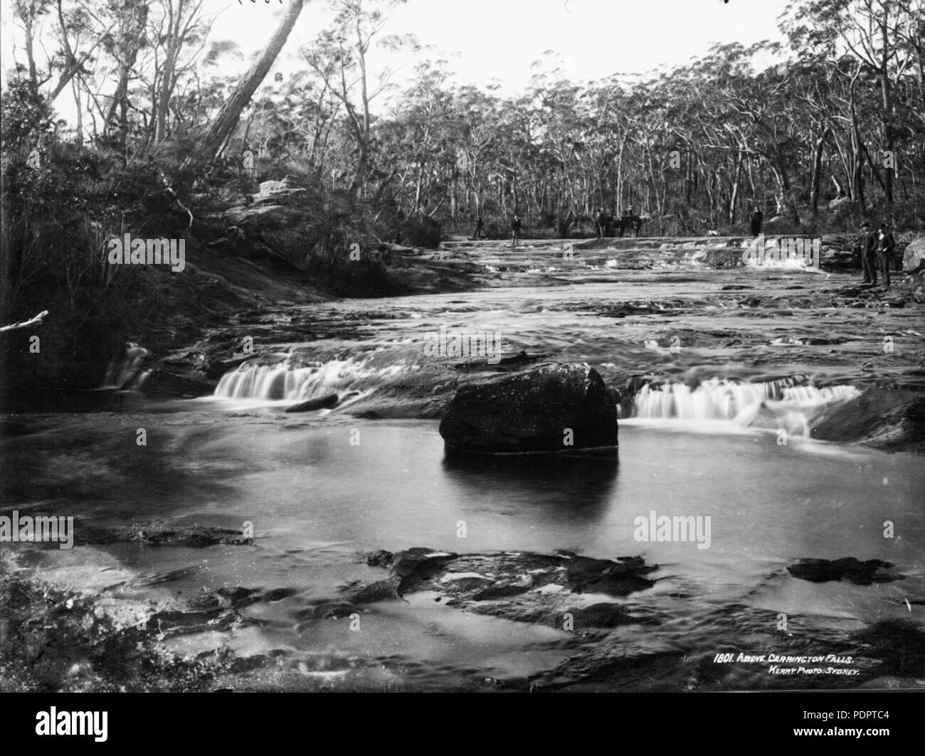 9 Oben Carrington Falls (3594429438) Stockfoto