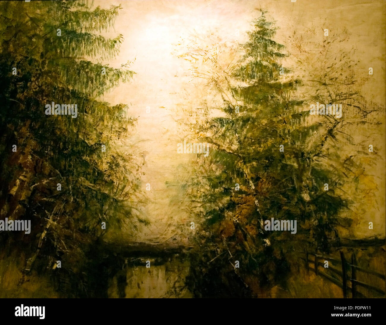 32 Riverside Bäume Stockfoto