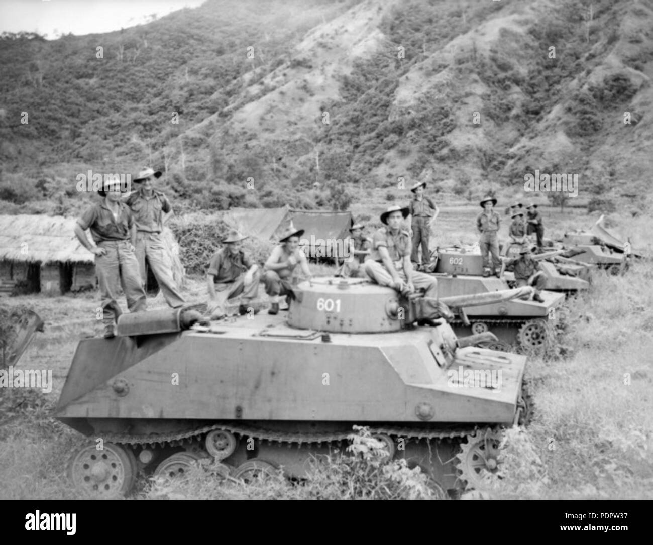 12 Amph Tank 2 (AWM) 096634 Stockfoto