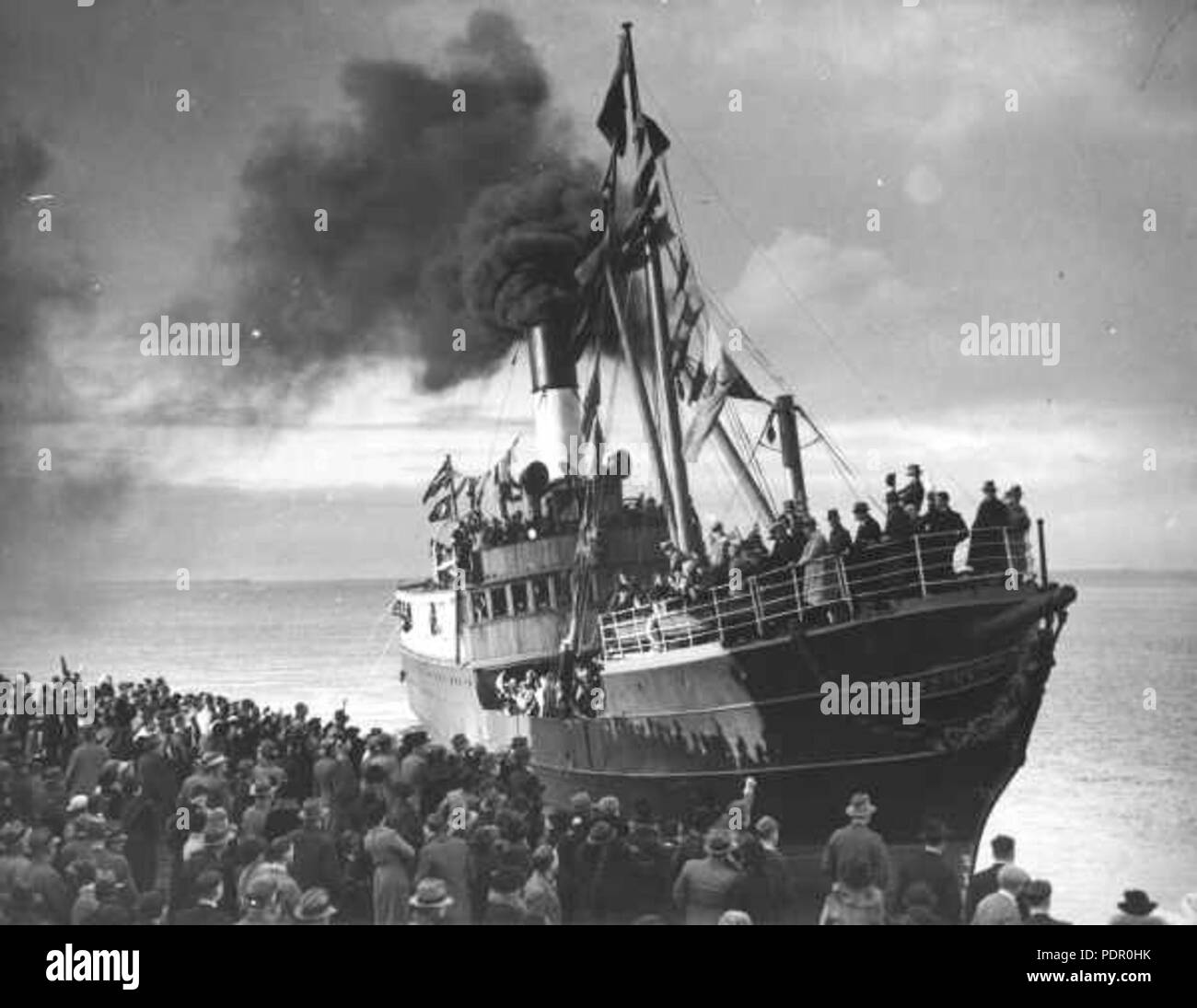 42 Edina Geelong Stockfoto