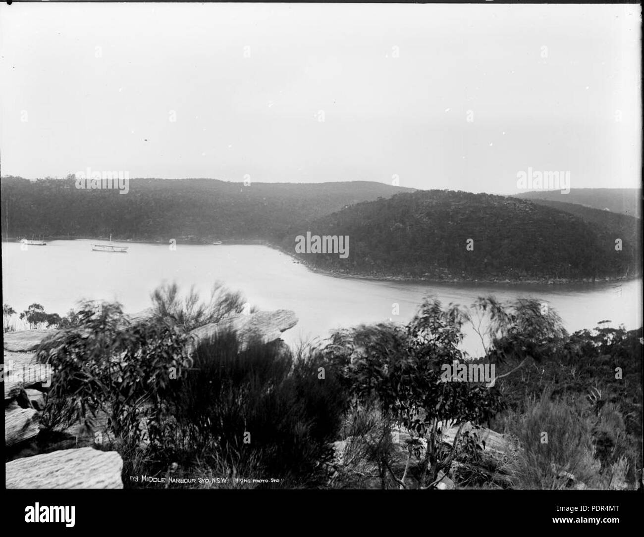 85 Middle Harbour, Sydney, New South Wales (4903274425) Stockfoto