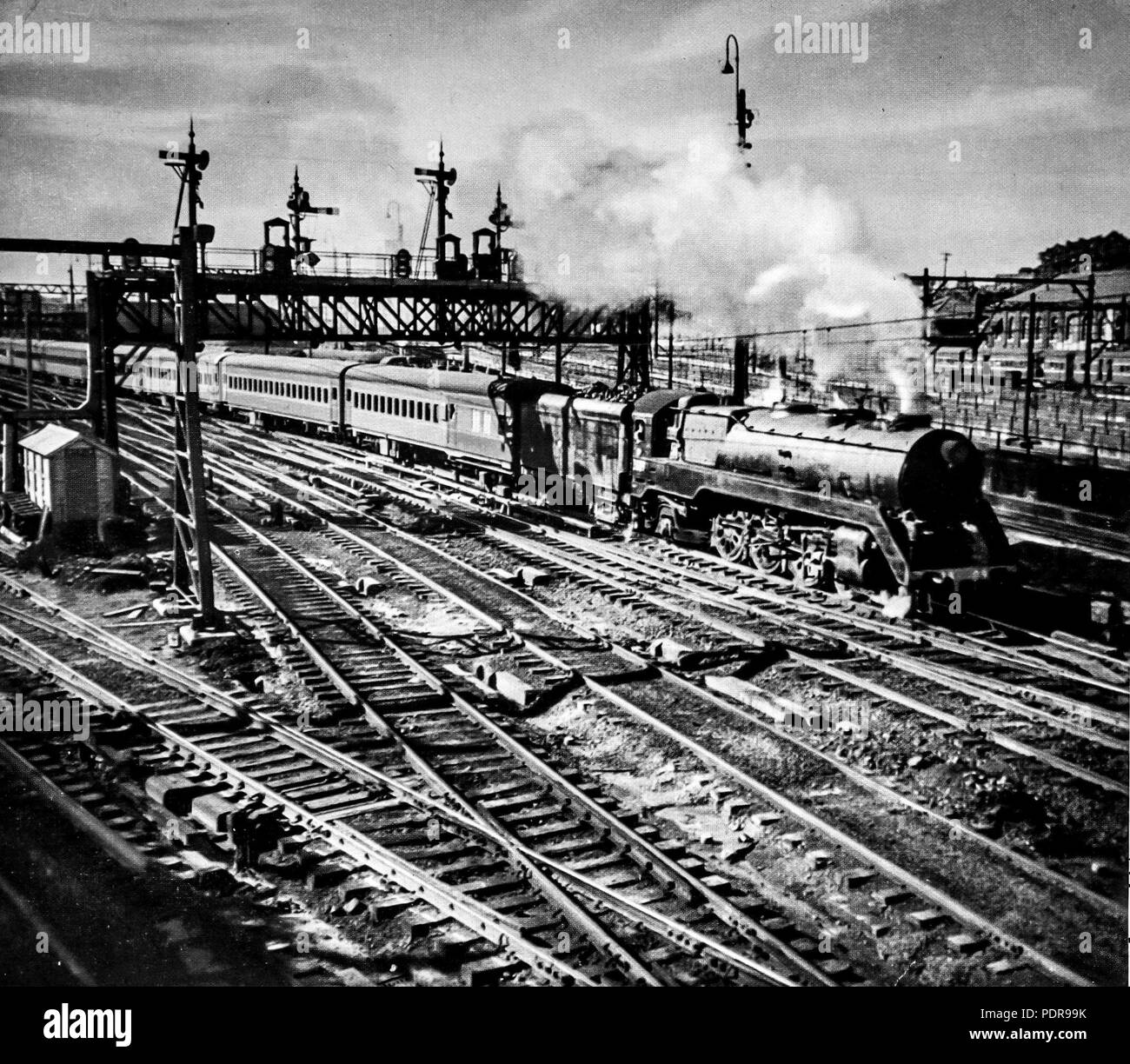 91 nswgr Klasse C 38 Lokomotive Express Passagier" Newcastle Flyer' Stockfoto