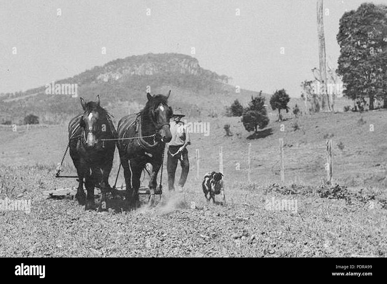 95 Ruhige, ländliche Szene in South East Queensland Stockfoto