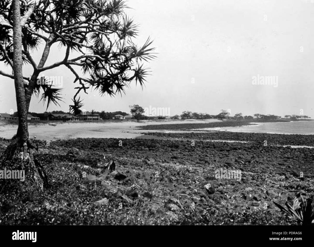 101 Queensland State archive 132 Bargara Blick nach Norden in Richtung Marlua Guesthouse und Residenzen Oktober 1931 Stockfoto