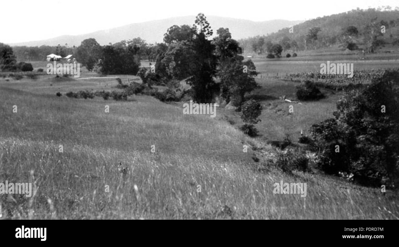 114 Queensland State Archive 4173 Szenen auf dem Hof von Herrn Davidson Beenleigh September 1933 Stockfoto