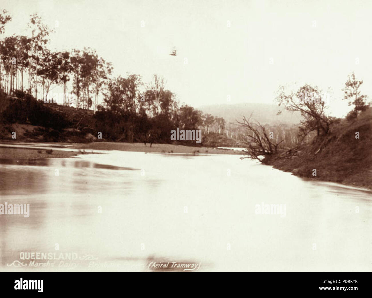 107 Queensland State Archive 2486 Marshs Molkerei mit Aerial Tramway Brisbane River c 1898 Stockfoto