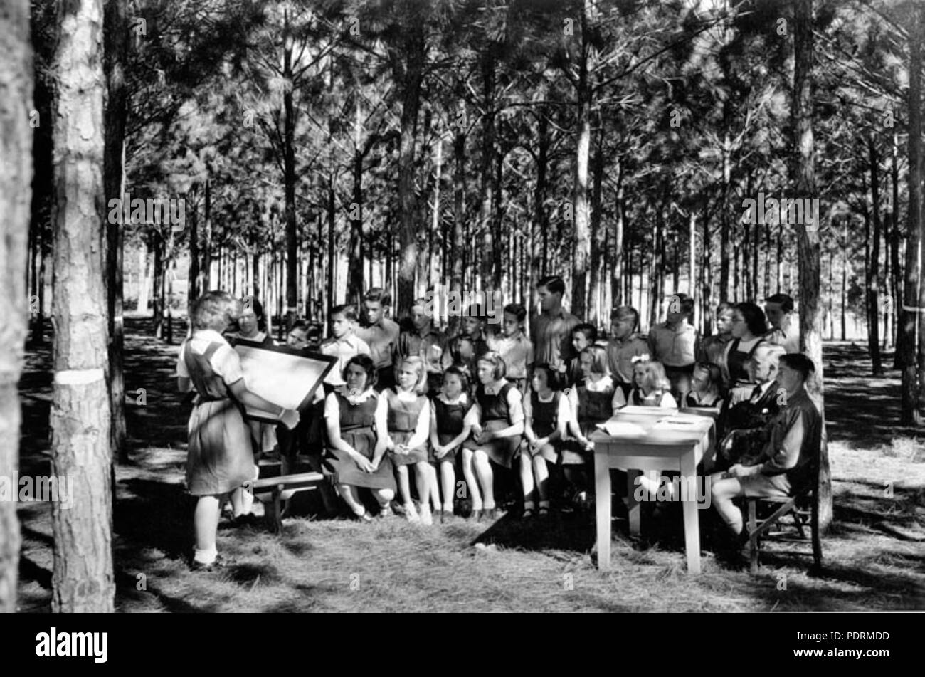 108 Queensland State Archive 2847 Lektion in der stoffhose Creek State School experimentelle Kiefer Grundstück 1946 Stockfoto