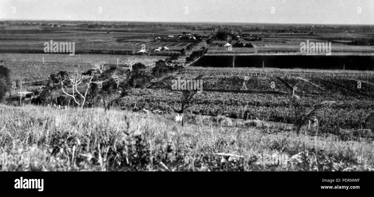 109 Queensland State archive 315 von Schrägen Hummock Ausblick über Woongarra Burnett Shire c 1931 Suchen Stockfoto