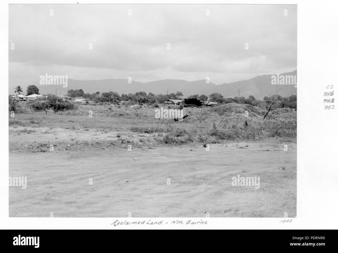 118 Queensland State Archive 4958 zurückgewonnenen Landes nördlich Cairns 1953 Stockfoto