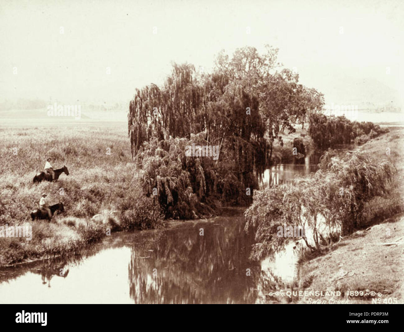 119 Queensland State Archive 5178 Swan Creek 1899 Stockfoto