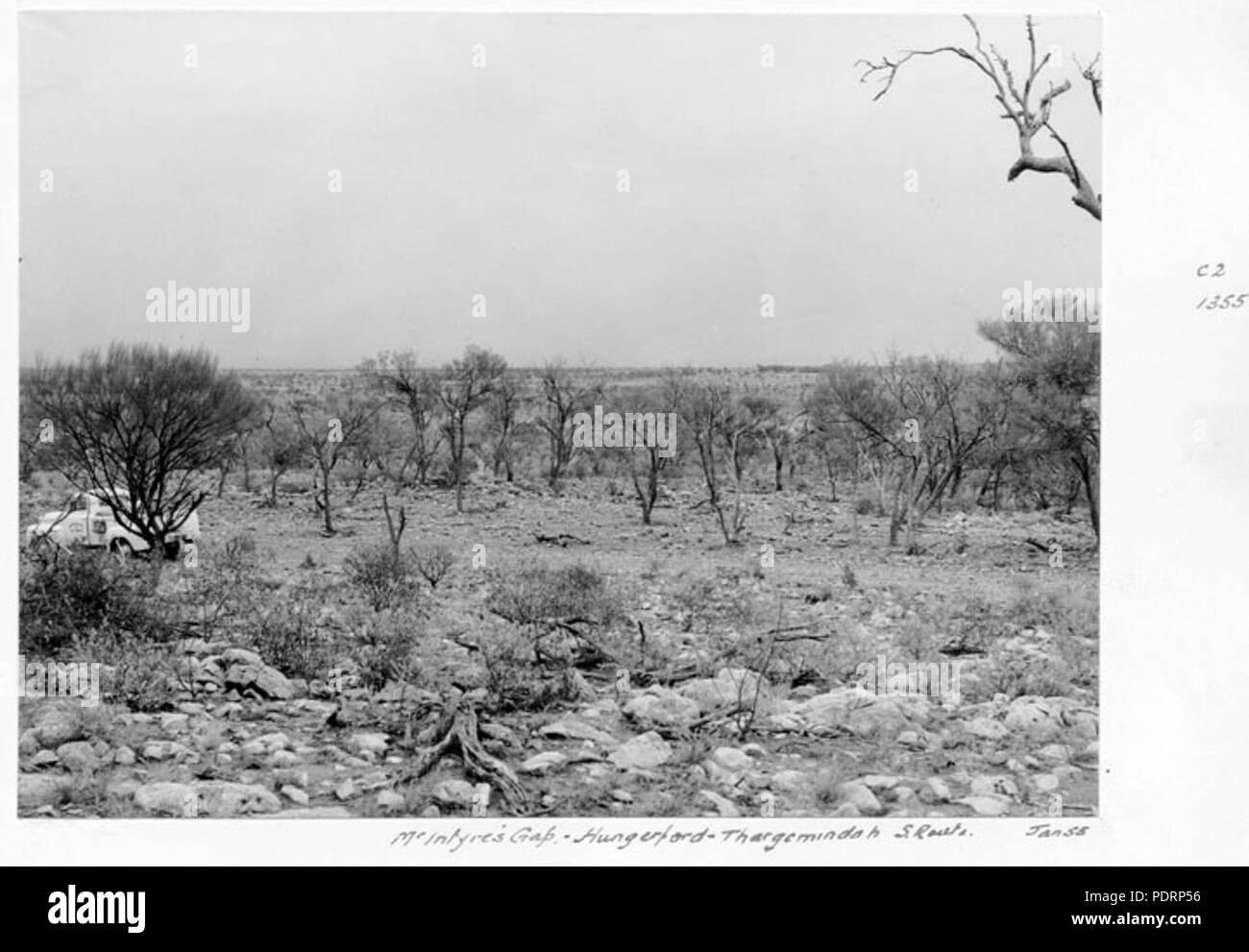 119 Queensland State Archive 5277 mcintyres Lücke Hungerford zu Thargomindah S Route Januar 1955 Stockfoto