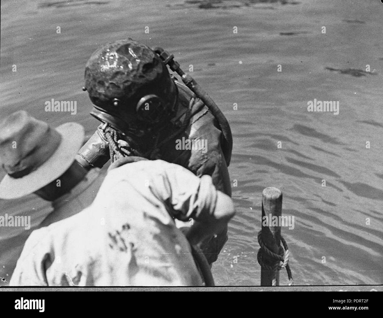 137 15677 SLNSW Taucher für die tug Undine Stockfoto