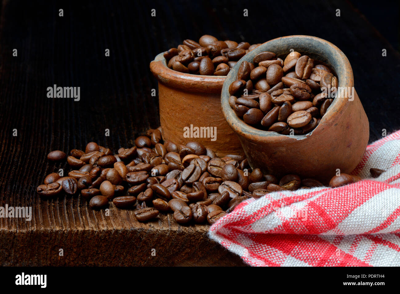 Kaffeebohnen in Keramiktoepfen, Coffea Arabica, Arabica-Kaffee Stockfoto