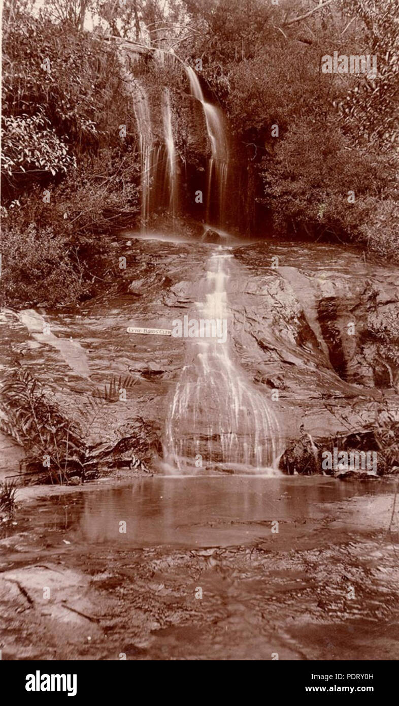 174 SLNSW 796385 Lyra Vögel Glen Hazelbrook Stockfoto