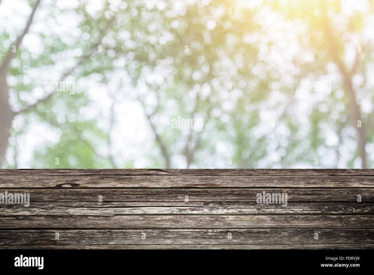 Holztisch Vordergrund mit blur grünen Wald Hintergrund Design für die Anzeige der Natur Produkte Stockfoto