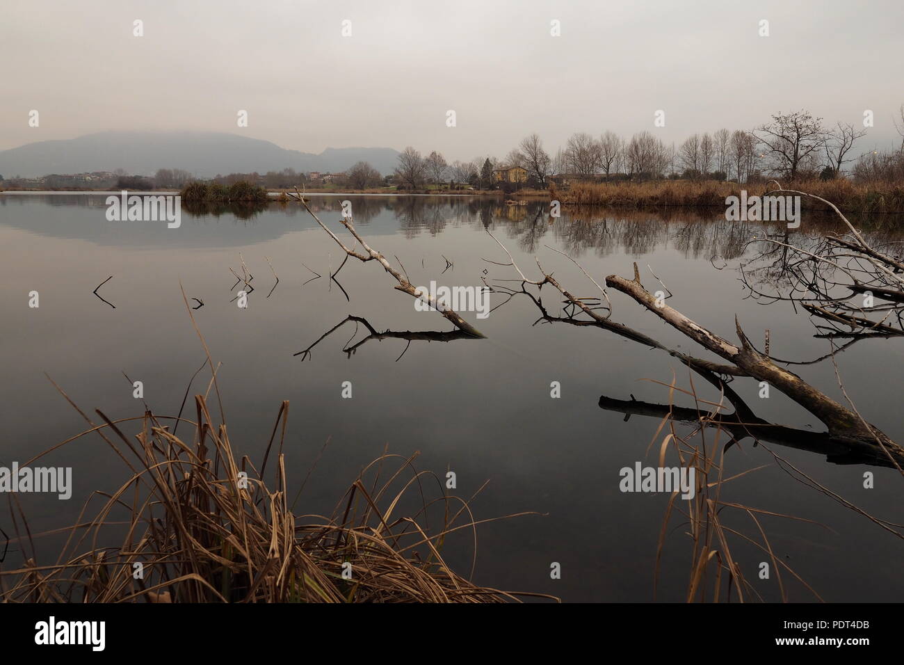 Torbiere del Sebino, Bergamo Stockfoto