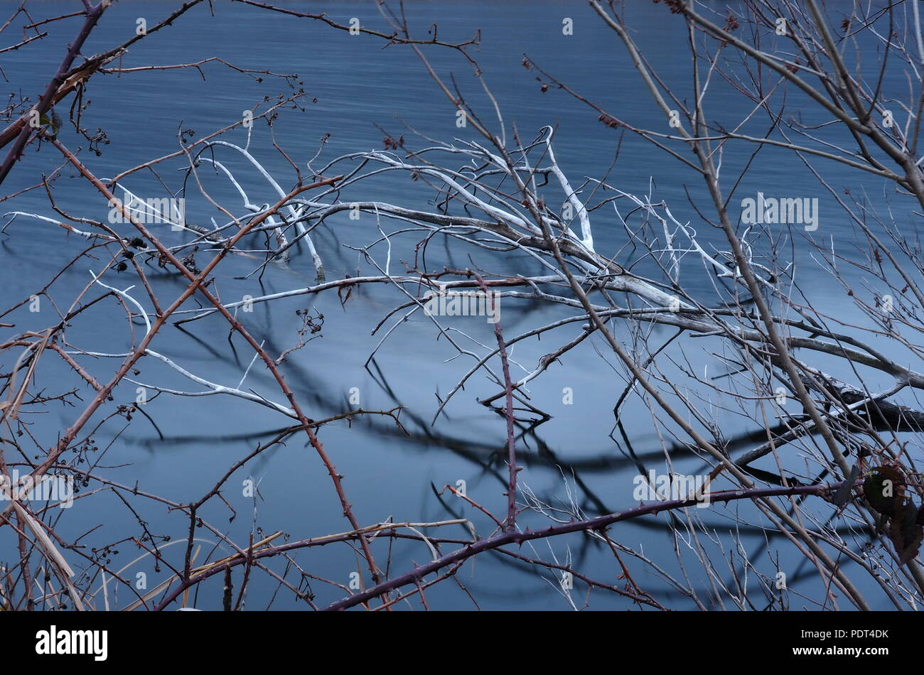 Torbiere del Sebino, Bergamo Stockfoto