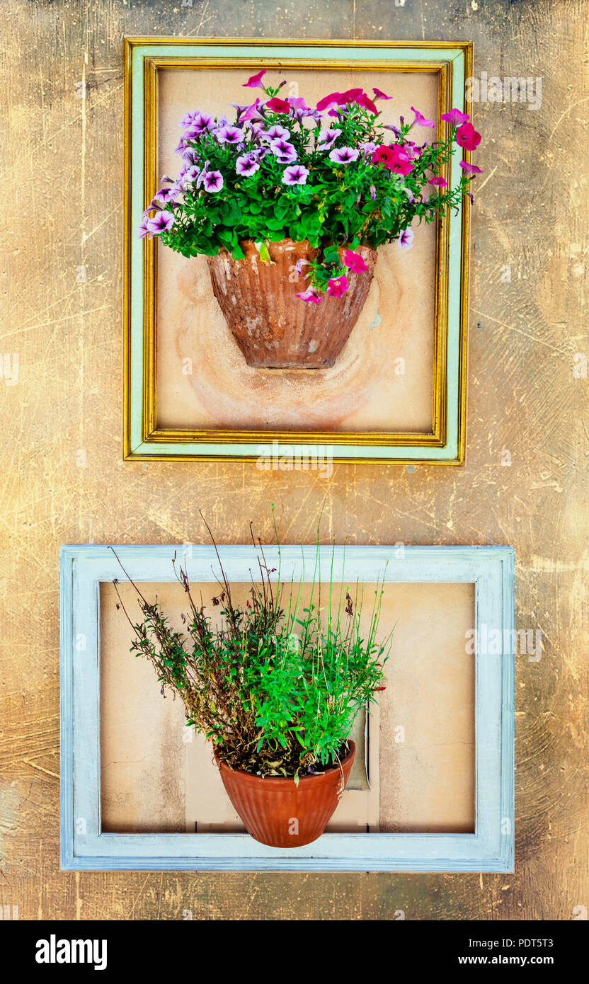 Blumenschmuck in Spello, Umbrien, Italien. Stockfoto