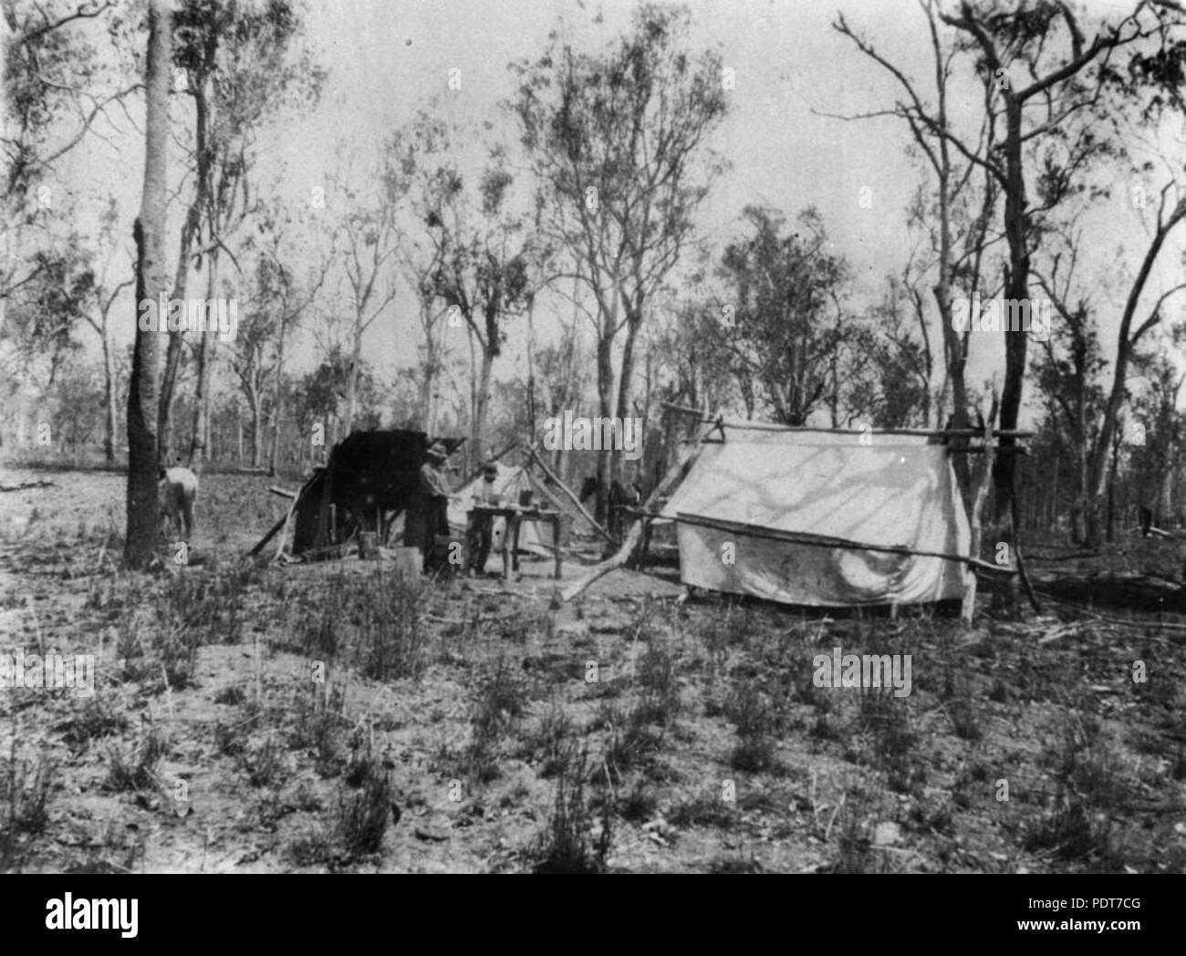 243 StateLibQld 1 175887 Treibern' Camp am Prospect Creek, Blue Mountains, New South Wales, 1919 Stockfoto