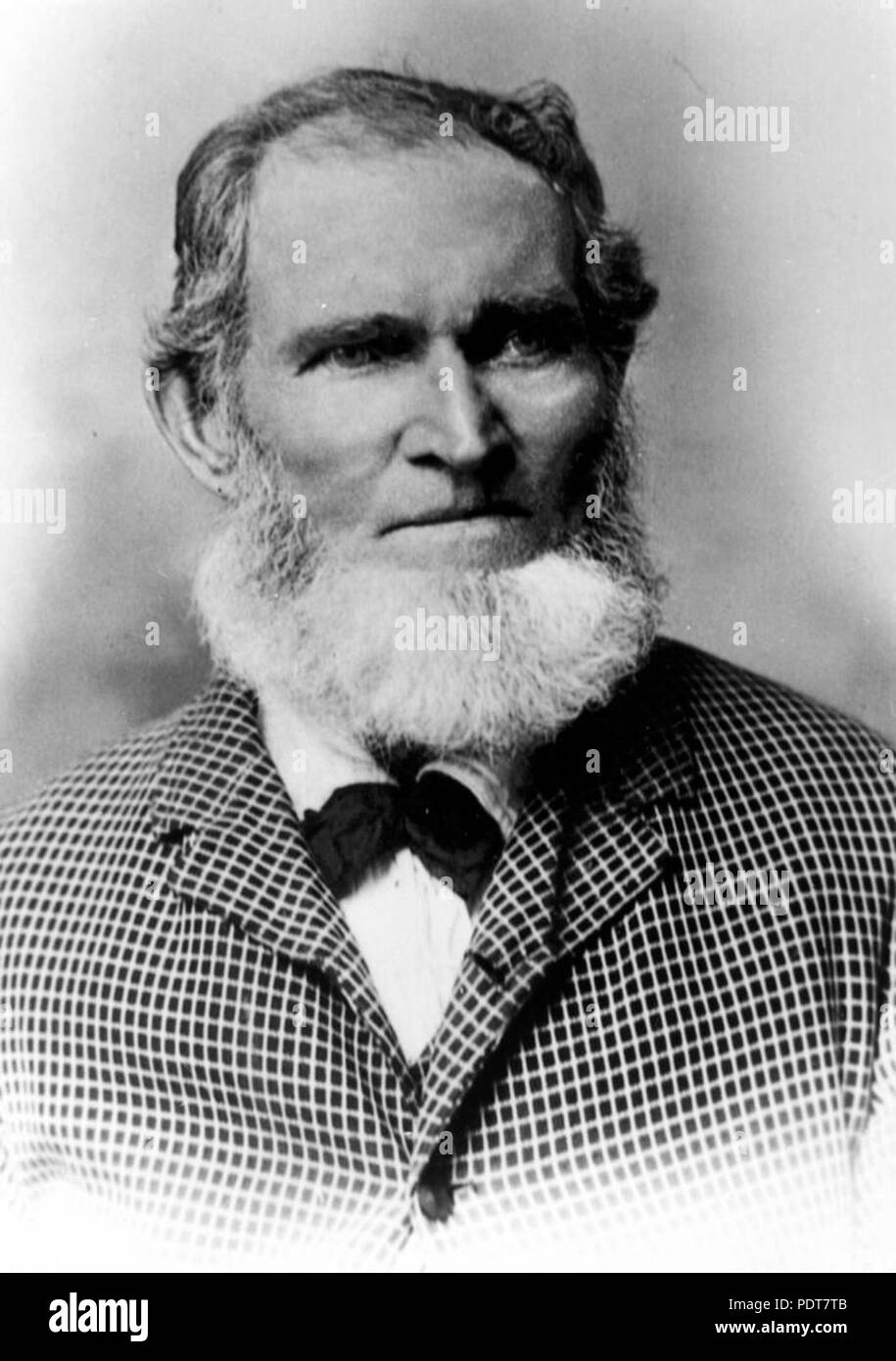 244 StateLibQld 1 180443 Joseph Johnson, Stanthorpe Mine Manager, 1872 Stockfoto