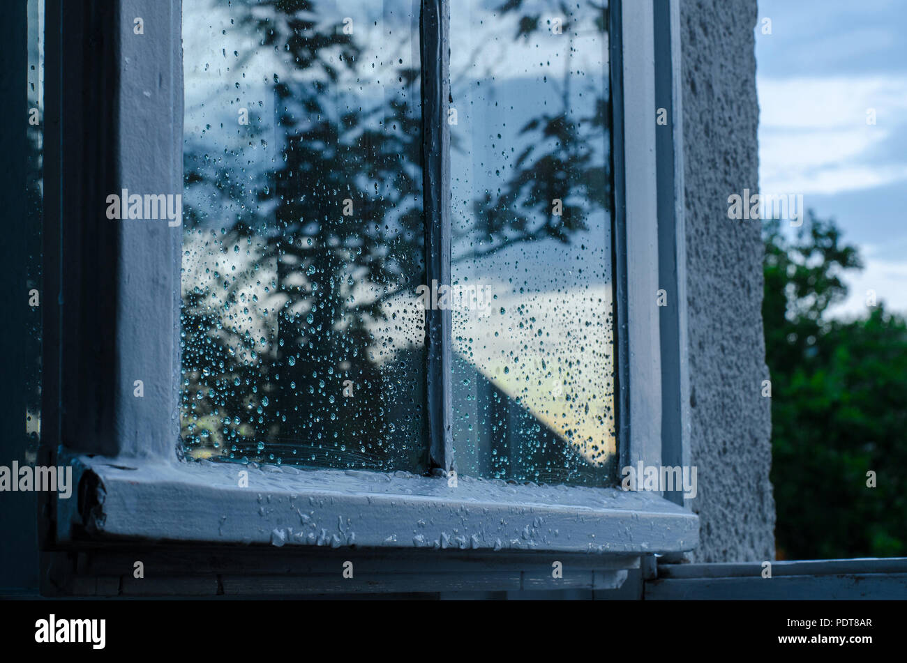 Fenster verdeckt mit Regentropfen Nach einem Sommer Regen, zeigt ein Spiegelbild der außerhalb der Natur und des Himmels in blaues Licht des Abends sonnte Stockfoto