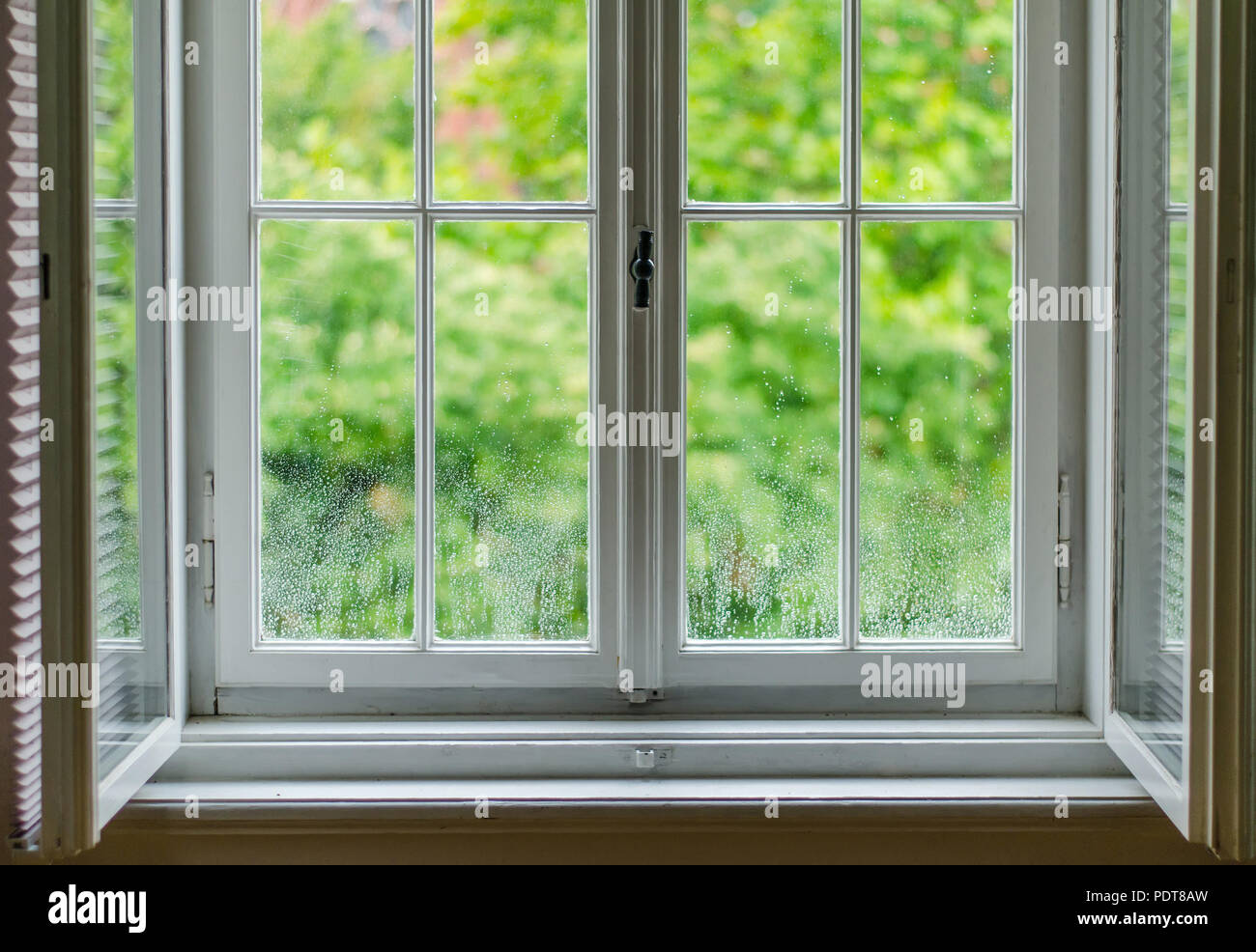 Blick durch das alte Fenster, mit Regentropfen fallen, auf das Grün der Natur außerhalb Stockfoto
