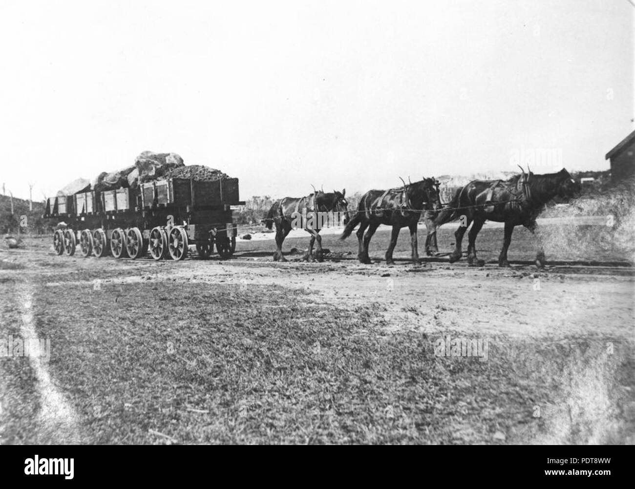 263 StateLibQld 1 298491 Arbeit Pferde ziehen-Lkw vom Steinbruch am Punkt Gefahr geladen, Ca. 1903 Stockfoto