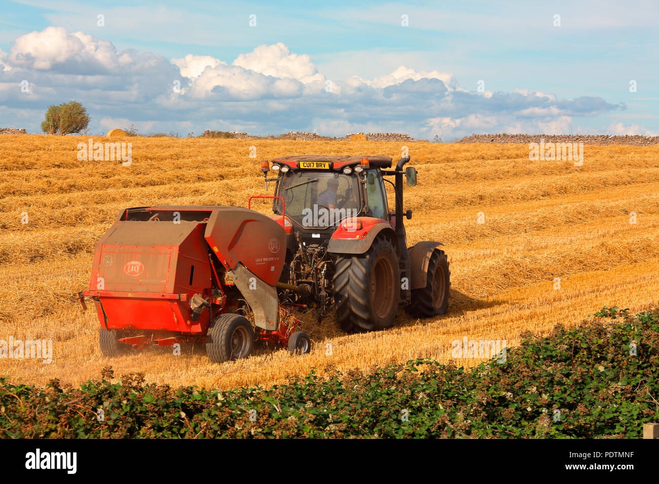Die lokalen Bauern in seinem Traktor Ziehen entlang einer Pressen Maschine alle Stroh Stengel aus dem Weizen in riesigen Rundballen zu sammeln. Stockfoto
