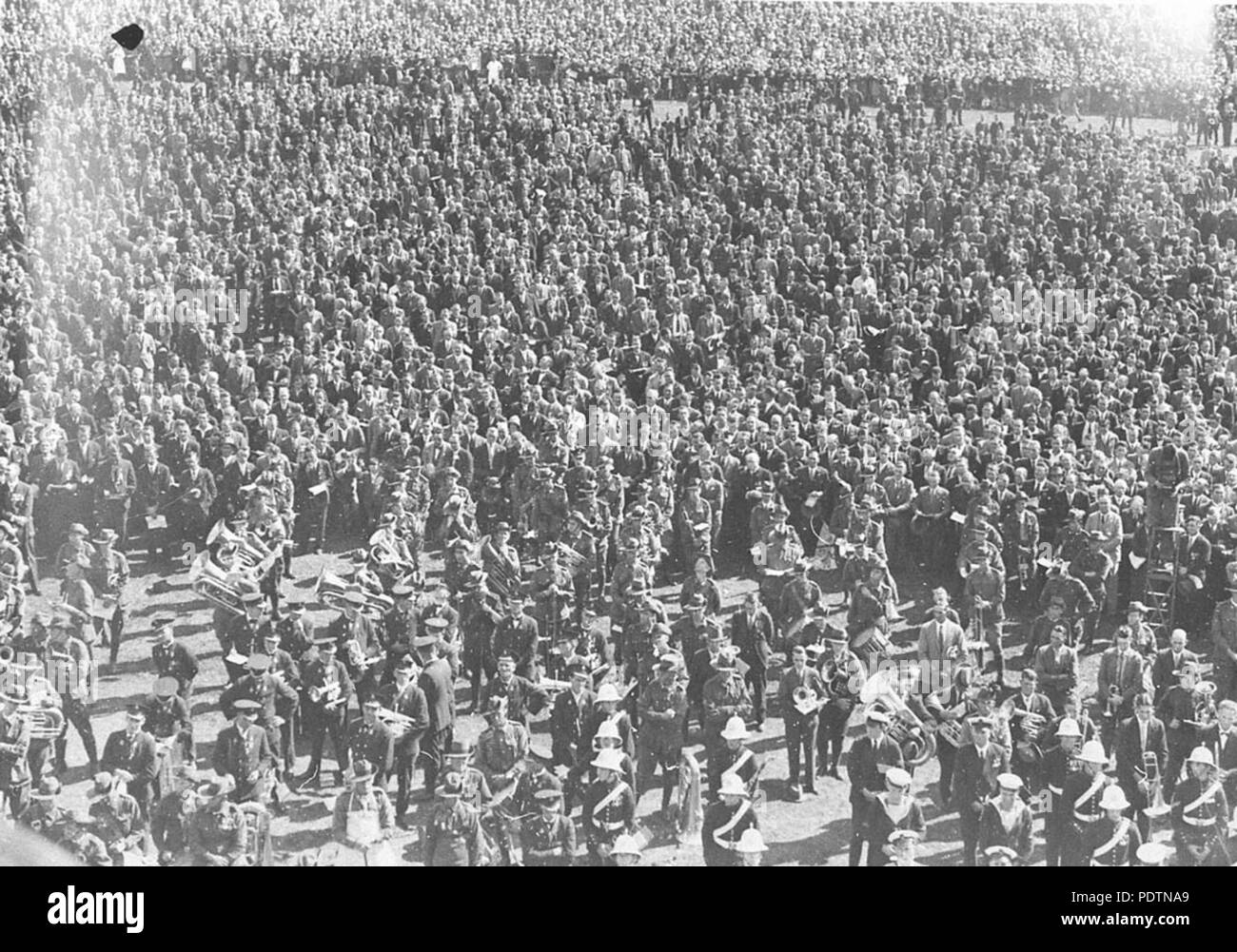 194 SLNSW 9391 riesige Menschenmenge in der Domäne Stockfoto