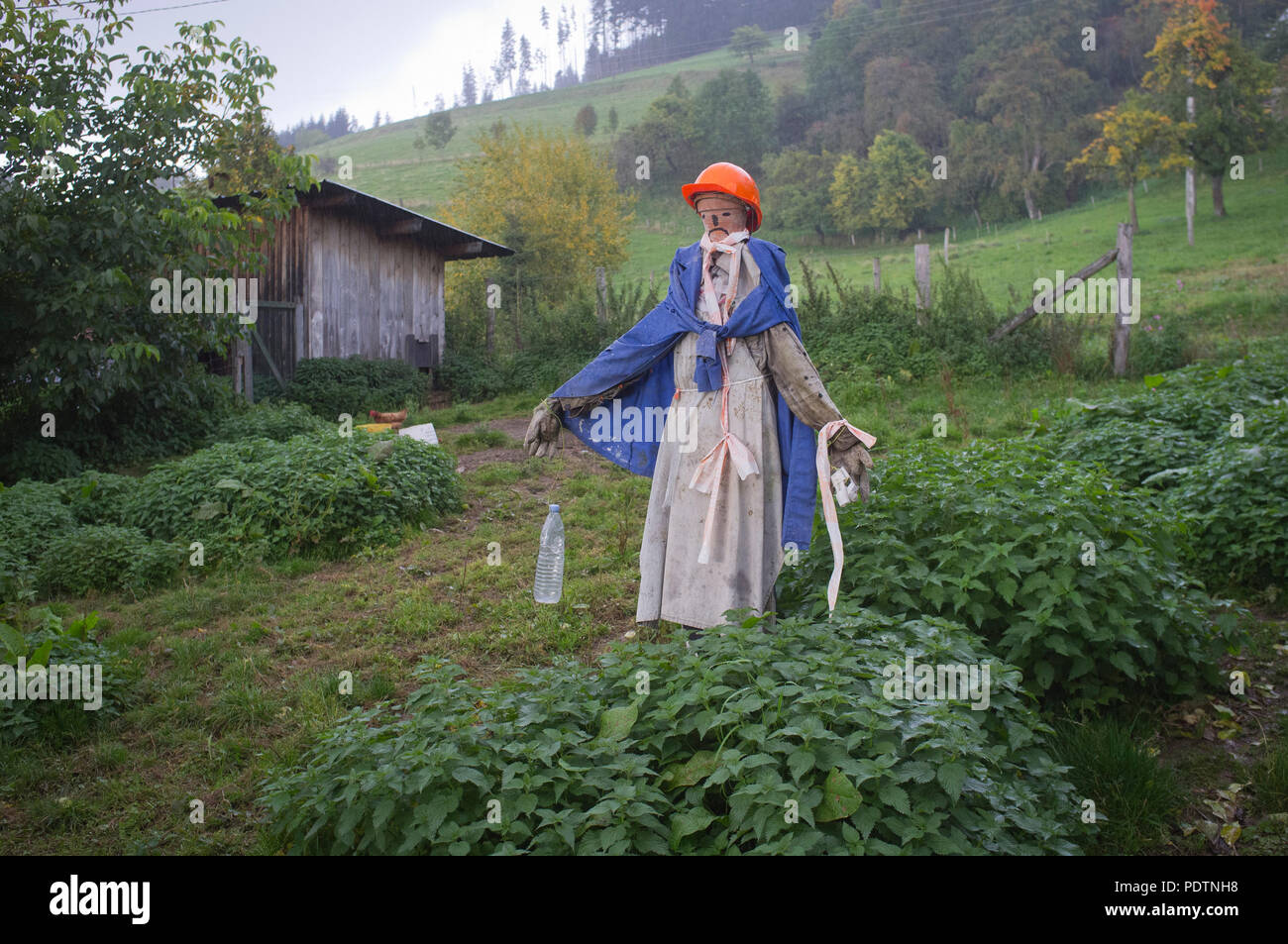 Eine kleinbäuerliche Vogelscheuche tief in die Landschaft der Haute-Savoie, Frankreich Stockfoto