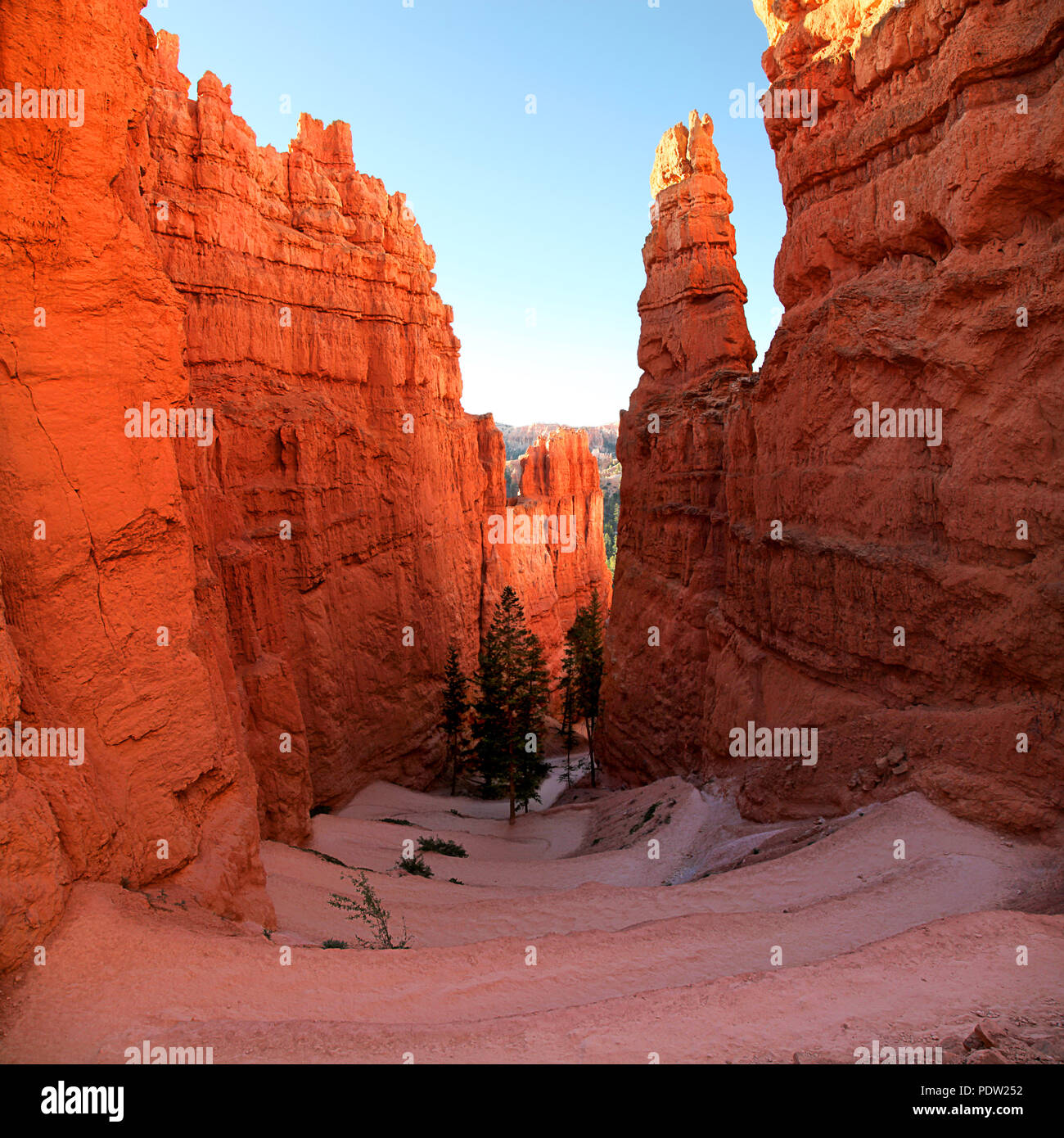 Serpentinen auf der Navajo Trail im Bryce Canyon National Park bei Sonnenaufgang Stockfoto