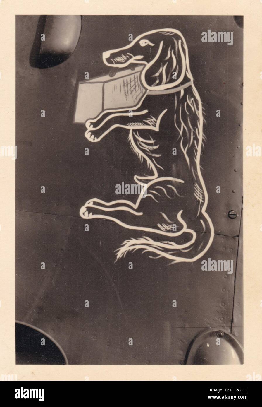 Bild aus dem Fotoalbum von Oberfeldwebel Karl gendner von 1. Staffel, Kampfgeschwader 40: Die Einheit, Abzeichen der 3./KG zbV 9, auf der Nase der Junkers Ju 52/3 m Transportflugzeug während der Polen Kampagne im September 1939 durchgeführt. Die Plakette wurde auf dem langen - der Schwarzhaarige Dackel taffelhund" Maskottchen von der Einheit. Stockfoto