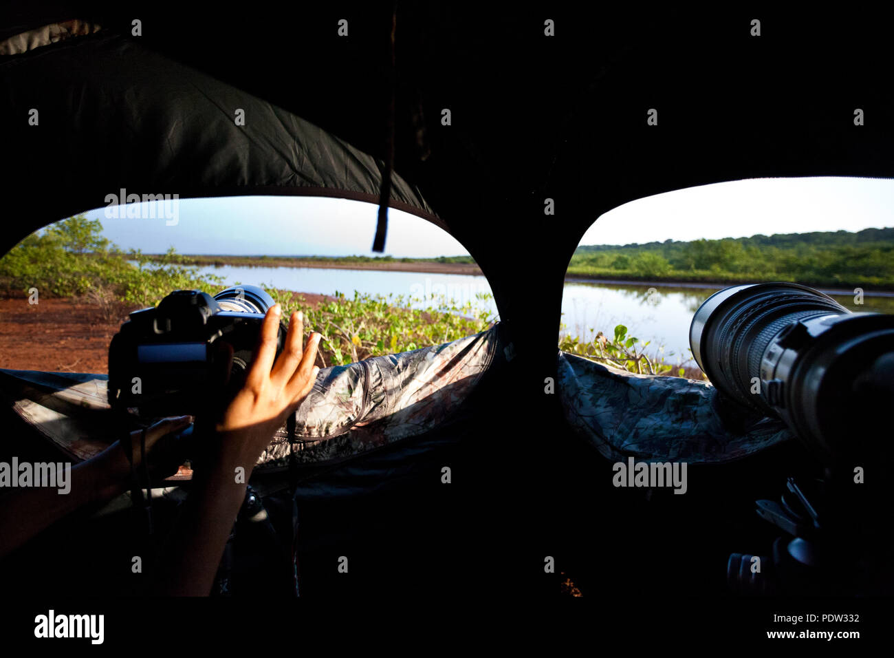 Zwei Teleobjektive für das Arbeiten im Inneren eine Tarnung Zelt in Sarigua Nationalpark bereit, Herrera Provinz, Republik Panama. Stockfoto