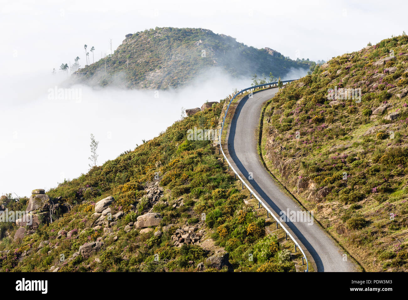 Geschwungene Bergstraße im Nebel, peneda-geres National Park, Portugal Stockfoto