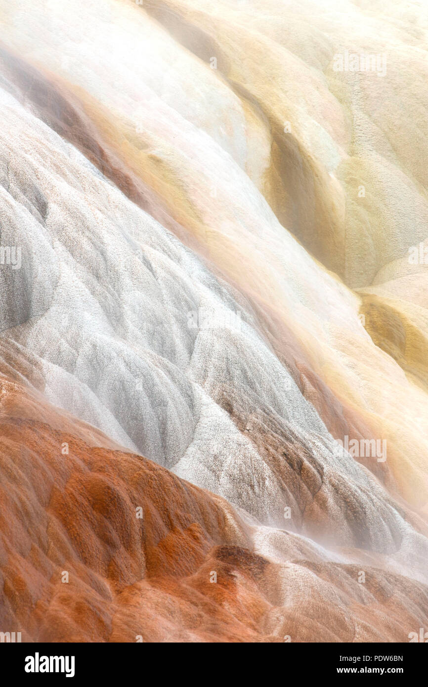 Palette-Frühling in Mammoth Hot Springs, Yellowstone-Nationalpark, Wyoming Stockfoto