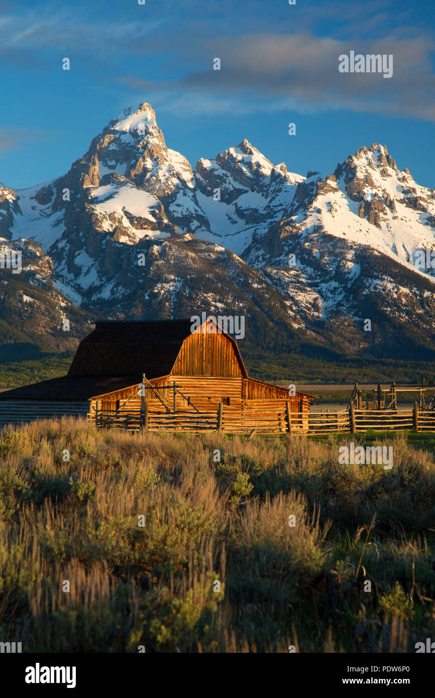 Mormon Zeile Scheune mit Grand Teton Bergkette, Grand Teton National Park, Wyoming Stockfoto