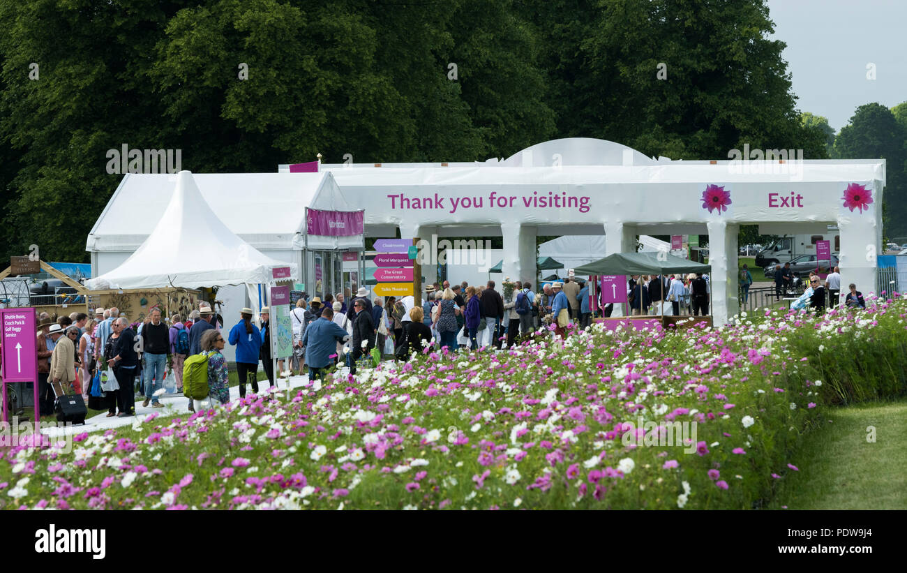 Home - Masse der Leute auf dem Weg zum Ausgang, vorbei an wunderschönen Display der Blüte cosmos-RHS Chatsworth Flower Show, Derbyshire, England, UK. Stockfoto
